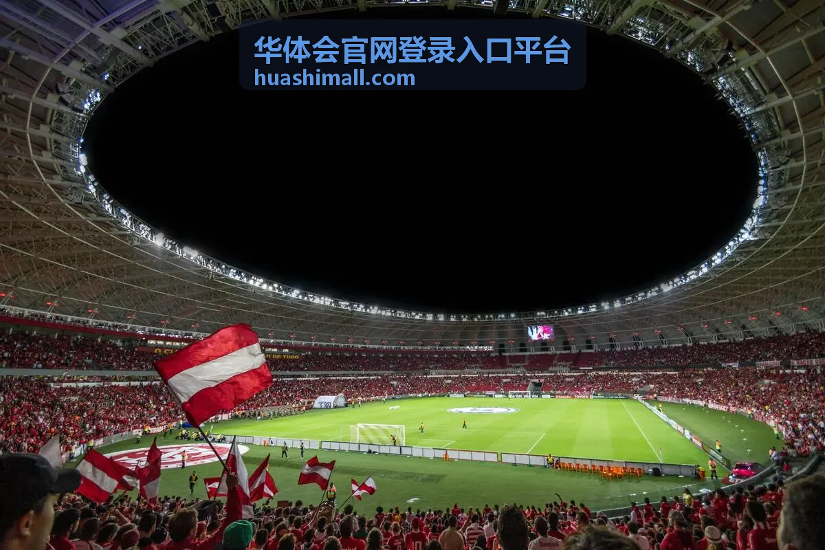 华体会官网登录入口平台使用问题解答中的处理步骤示意