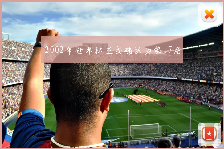 2002年世界杯正式确认为第17届