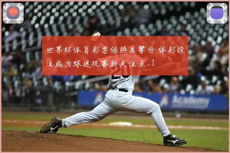 世界杯体育彩票倍热度攀升 体彩投注成为球迷观赛新关注点_1