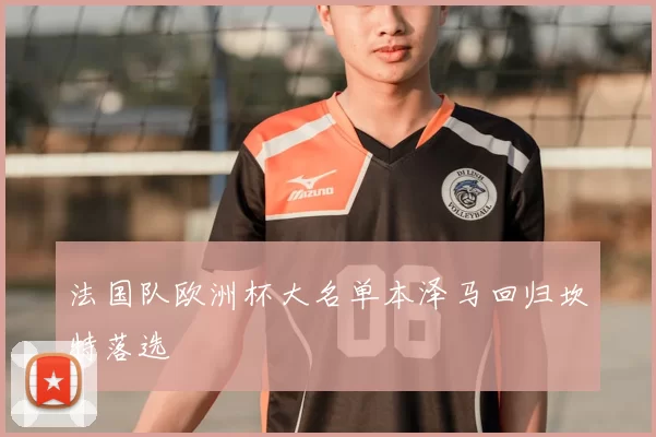 法国队欧洲杯大名单本泽马回归坎特落选